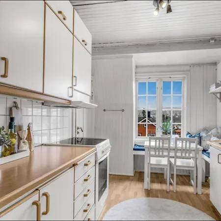 Lejlighed Close To The City Centre, Especially Suited For The Fis Nordic World Ski Championships Trondheim